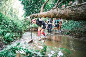 BIB: 
                            <button type="button" onclick="openModal(25516270)" class="btn btn-primary btn-sm float-right btn-popup" data-toggle="modal" data-target=".modal-high-quality">
                        <i class="fas fa-shopping-cart"></i> Add to Cart
                    </button>
                                            <button type="button" onclick="isThisMe(25516270, true)" class="btn btn-success btn-sm float-right btn-popup btn-isme hidden" data-toggle="tooltip" data-placement="bottom" title="นี่คือรูปของคุณใช่ไหม คลิกที่นี่เพื่อเอาเข้าอัลบั้ม">
                        <i class="fas fa-plus"></i> Add to album
                    </button>
                    <button type="button" onclick="isThisMe(25516270, false)" class="btn btn-warning btn-sm float-right btn-popup btn-isnotme hidden">
                        <i class="fas fa-ban"></i> Remove from album
                    </button>